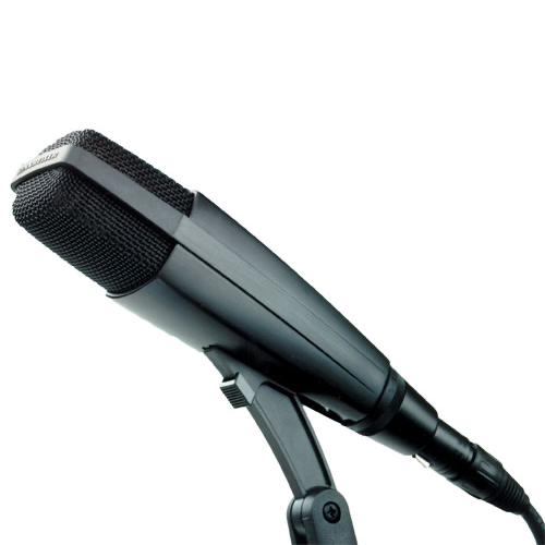 Sennheiser MD-421 Microfoon + Clip huren