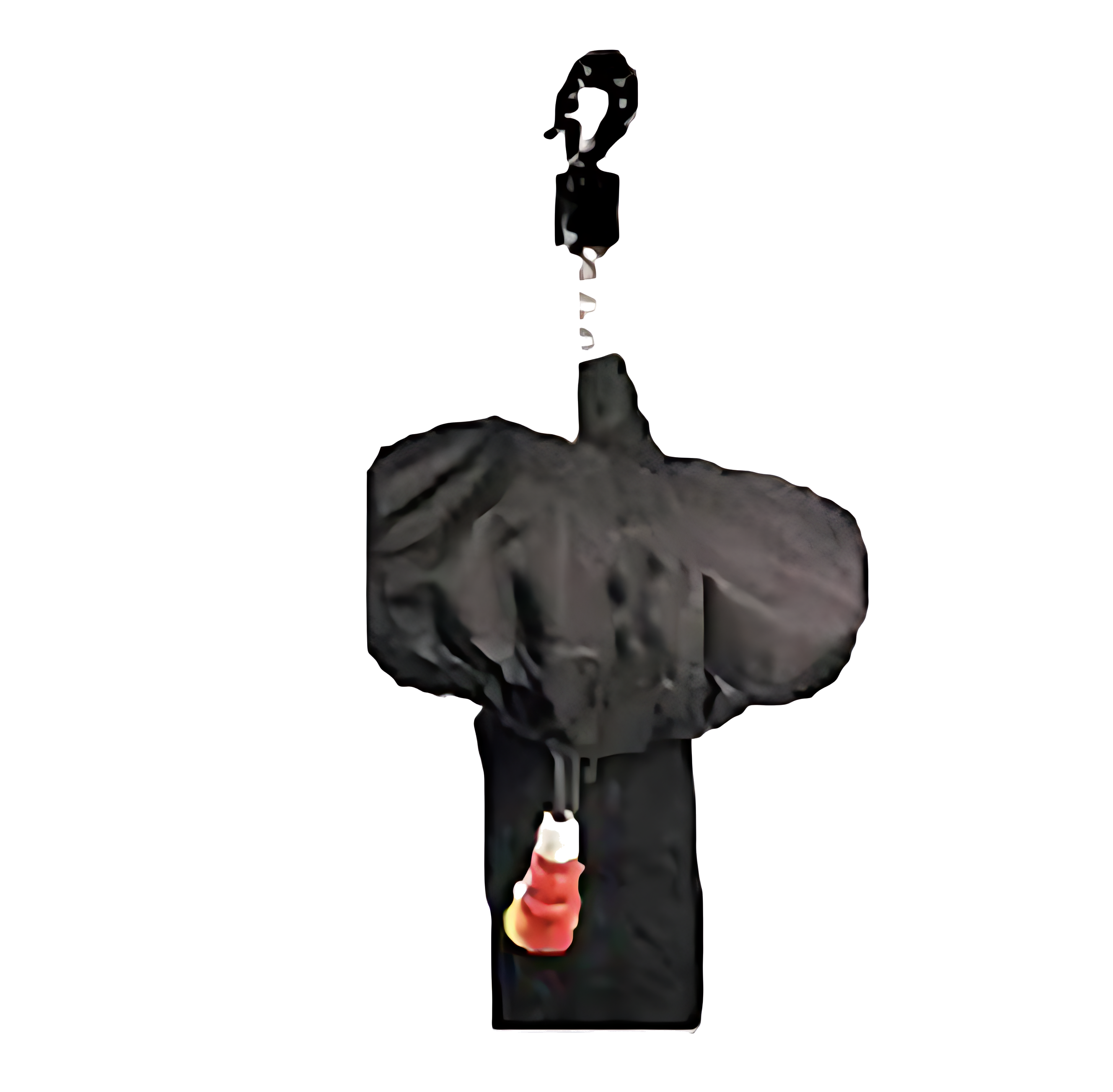 Raincover CM Lodestar F huren